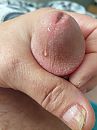eikel spelen, foto 750x1000, 0 reacties, 1 stemmen