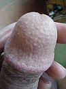 eikel, foto 3000x4000, 0 reacties, 0 stemmen