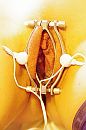 electro, foto 678x1024, 10 reacties, 57 stemmen