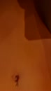 even lekker staand, film 00:00:29, 13 reacties, 72 stemmen