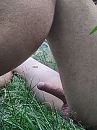 even rusten, foto 1728x2304, 8 reacties, 20 stemmen