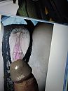 fan maile, foto 1536x2048, 0 reacties, 3 stemmen