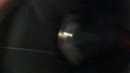 fantasie met dildo, film 00:00:00, 1 reacties, 5 stemmen