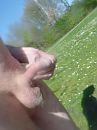 galderse meren, foto 3000x4000, 3 reacties, 8 stemmen