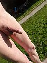 galderse meren, foto 3000x4000, 5 reacties, 8 stemmen