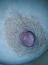 geil tepeltje, foto 960x1280, 4 reacties, 17 stemmen