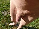 geil zon op je pik, foto 4000x3000, 1 reacties, 2 stemmen