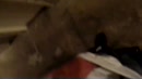 geil, film 00:00:25, 5 reacties, 7 stemmen