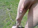 geil, foto 4000x3000, 1 reacties, 8 stemmen