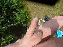 geil, foto 4000x3000, 1 reacties, 3 stemmen