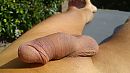 genieten, foto 4000x2250, 20 reacties, 33 stemmen