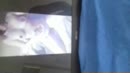 goede inspiratie, film 00:00:00, 1 reacties, 2 stemmen