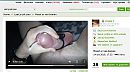 goeie morgen, foto 1311x729, 1 reacties, 2 stemmen