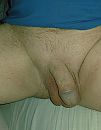 goeie morgen, foto 2296x2944, 6 reacties, 5 stemmen