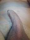 groeien, foto 194x260, 1 reacties, 4 stemmen