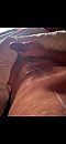 guitige spuiterd, foto 1170x2532, 5 reacties, 35 stemmen