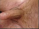 halfstijve lul,, foto 1024x768, 0 reacties, 4 stemmen