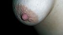hard tepeltje, foto 1000x563, 5 reacties, 20 stemmen