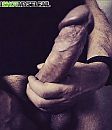 hard, foto 1030x1195, 8 reacties, 23 stemmen