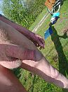 heerlijk weer, foto 3000x4000, 2 reacties, 5 stemmen