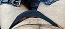 hmmmmmm, foto 4000x1796, 3 reacties, 11 stemmen