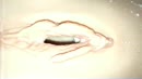 hoge nood, film 00:00:19, 4 reacties, 6 stemmen