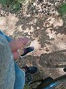holven, foto 540x720, 2 reacties, 14 stemmen