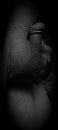 ikzelf, foto 1362x3026, 0 reacties, 0 stemmen