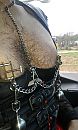 in de auto, foto 1536x2560, 6 reacties, 16 stemmen