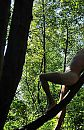 isabellagriend, foto 1576x2425, 8 reacties, 15 stemmen