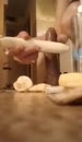 keigeil, film 00:00:00, 0 reacties, 4 stemmen
