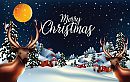 kerst groet, foto 680x435, 5 reacties, 10 stemmen