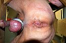kijk ze hangen, foto 4000x2666, 2 reacties, 5 stemmen