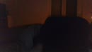 klaar voor te cammen, film 00:00:12, 1 reacties, 8 stemmen