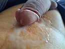 kwak, foto 275x206, 10 reacties, 23 stemmen