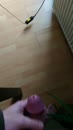 laatste beetje, film 00:00:15, 10 reacties, 23 stemmen