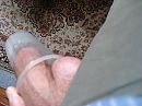 lege beker, foto 640x480, 0 reacties, 4 stemmen