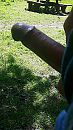 lekker  buiten, foto 1836x3264, 0 reacties, 4 stemmen