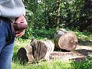 lekker buiten in bos, foto 3264x2448, 2 reacties, 2 stemmen