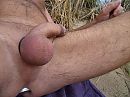 lekker strandagje gisteren, foto 4000x3000, 37 reacties, 67 stemmen