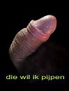 lekker, foto 256x334, 5 reacties, 4 stemmen