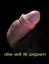 lekker, foto 256x334, 4 reacties, 3 stemmen