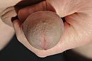 ligt goed in de hand, foto 2758x1835, 0 reacties, 1 stemmen