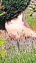 ligt ze weer, foto 976x1674, 8 reacties, 31 stemmen