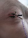 links, foto 3000x4000, 1 reacties, 3 stemmen