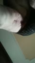 listen to her joy as myfingers, film 00:00:00, 0 reacties, 7 stemmen