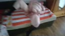 love it so much when she, film 00:00:15, 6 reacties, 19 stemmen