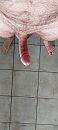 me2, foto 1802x4000, 1 reacties, 6 stemmen