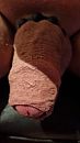 met cock ring, foto 1134x2016, 0 reacties, 1 stemmen