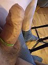 met ring, foto 3000x4000, 0 reacties, 2 stemmen